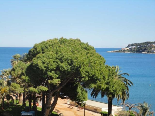 квартира на 1 линии в антибе, пляж, море